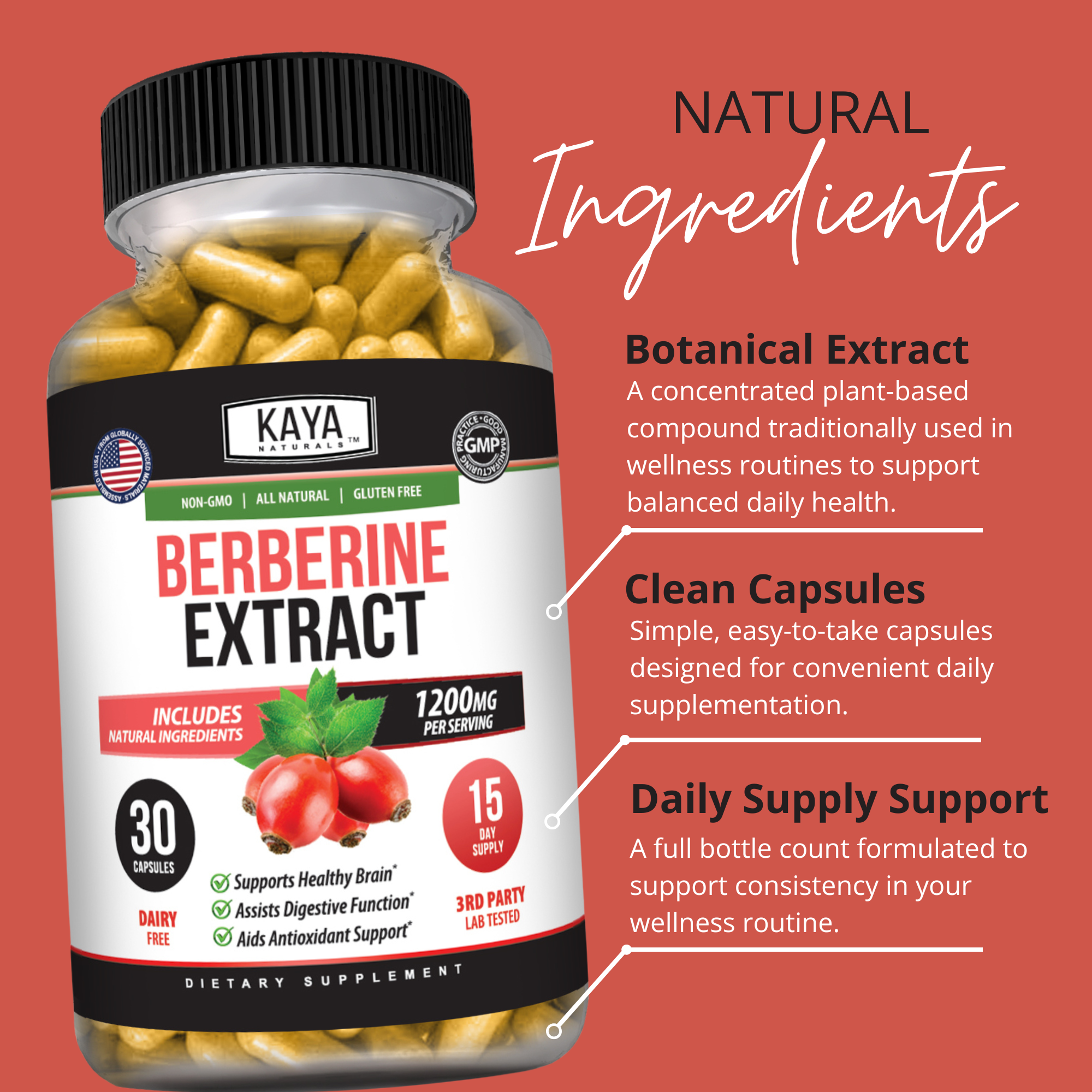 Berberine Extract – Metabolic Support Supplement – Daily Wellness & Balance – 1200mg Per Serving