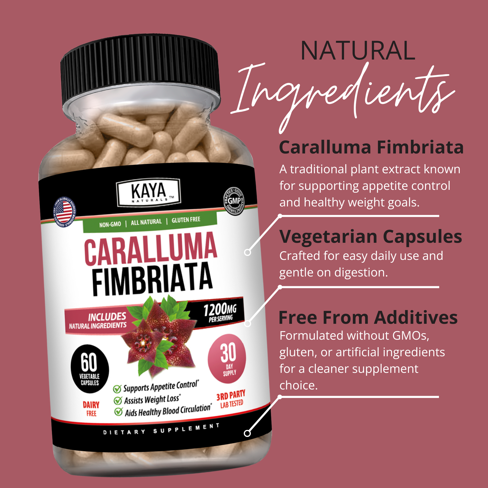 Caralluma Fimbriata – Appetite Support Supplement – Weight Management & Daily Wellness – Plant-Based Formula