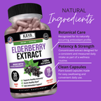 Elderberry Extract – Immune Support Supplement – Antioxidant-Rich Daily Wellness Formula