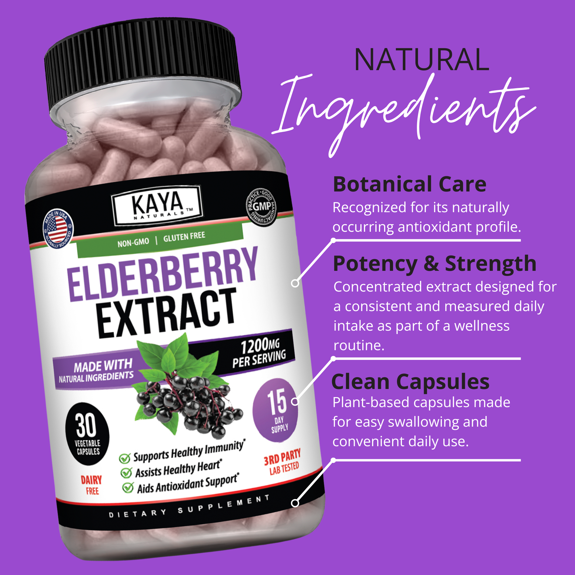 Elderberry Extract – Immune Support Supplement – Antioxidant-Rich Daily Wellness Formula