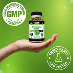 Moringa – Plant-Based Superfood Supplement – Energy & Daily Wellness Support – Nutrient-Rich Formula