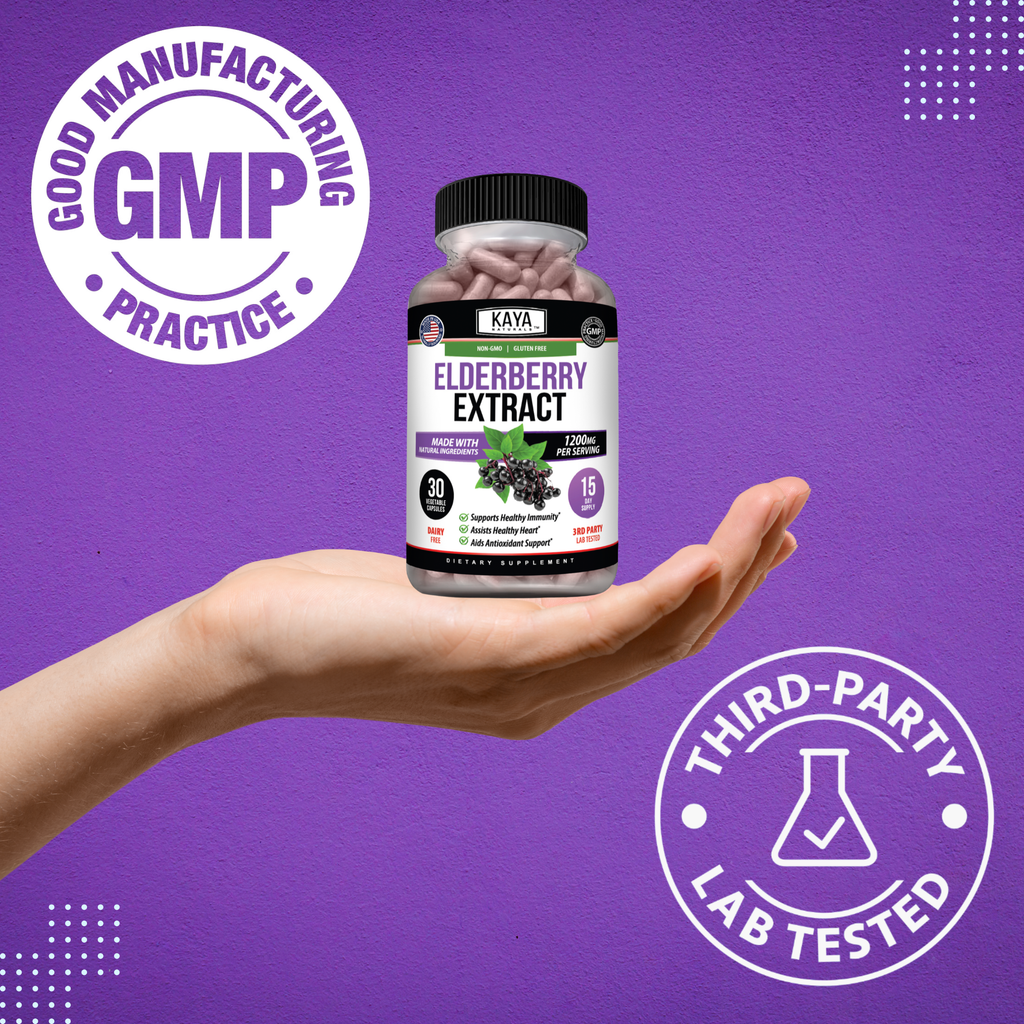 Elderberry Extract – Immune Support Supplement – Antioxidant-Rich Daily Wellness Formula