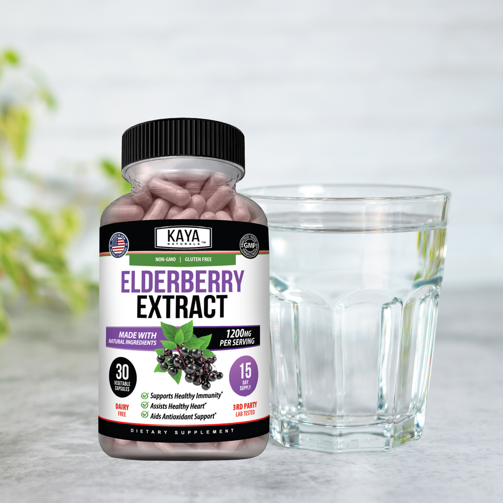 Elderberry Extract – Immune Support Supplement – Antioxidant-Rich Daily Wellness Formula