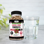 Caralluma Fimbriata – Appetite Support Supplement – Weight Management & Daily Wellness – Plant-Based Formula