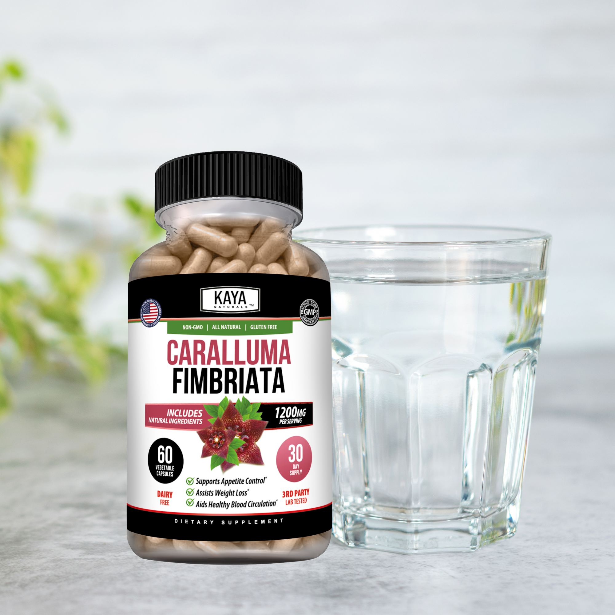 Caralluma Fimbriata – Appetite Support Supplement – Weight Management & Daily Wellness – Plant-Based Formula