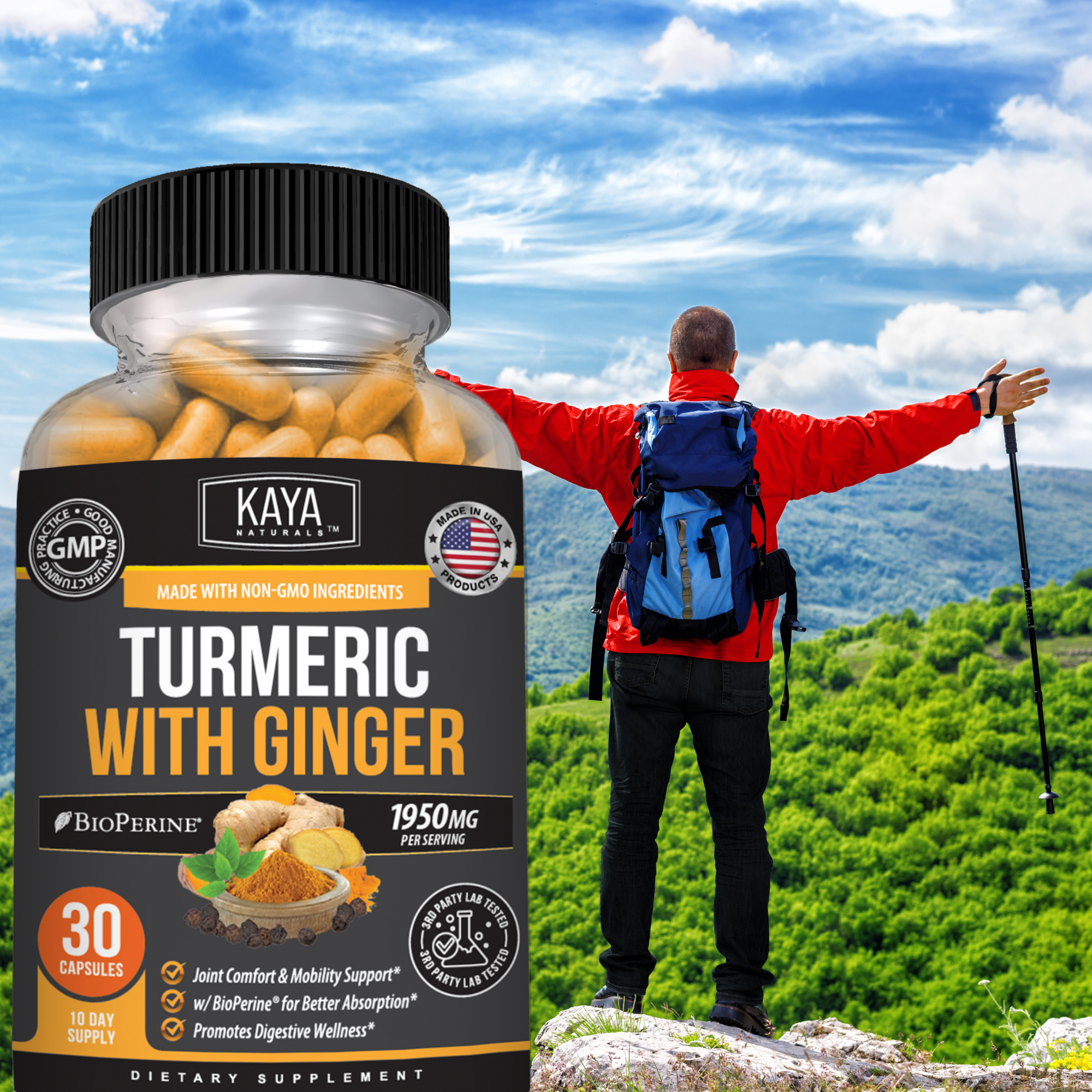 Turmeric with Ginger – Joint & Mobility Support – Daily Inflammation Balance & Antioxidant Formula – Digestive Wellness Support