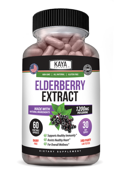 Elderberry Extract – Immune Support Supplement – Antioxidant-Rich Daily Wellness Formula
